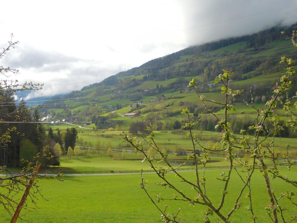 Steinerhof Villa Sankt Georgen ob Murau Exterior photo