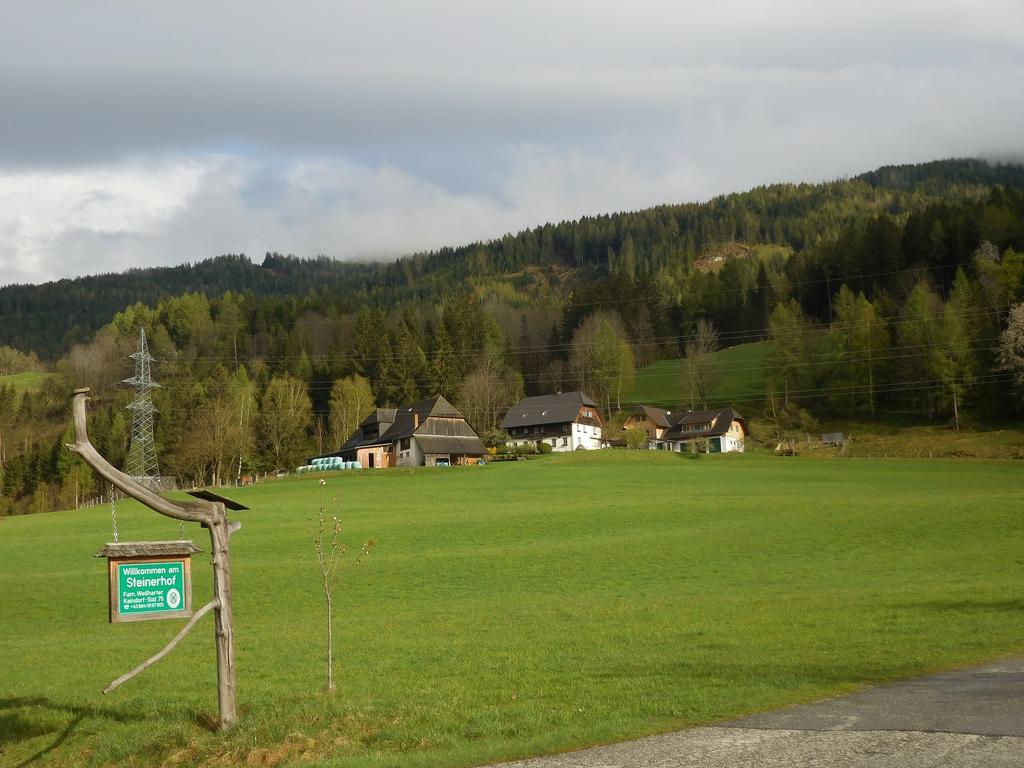 Steinerhof Villa Sankt Georgen ob Murau Exterior photo