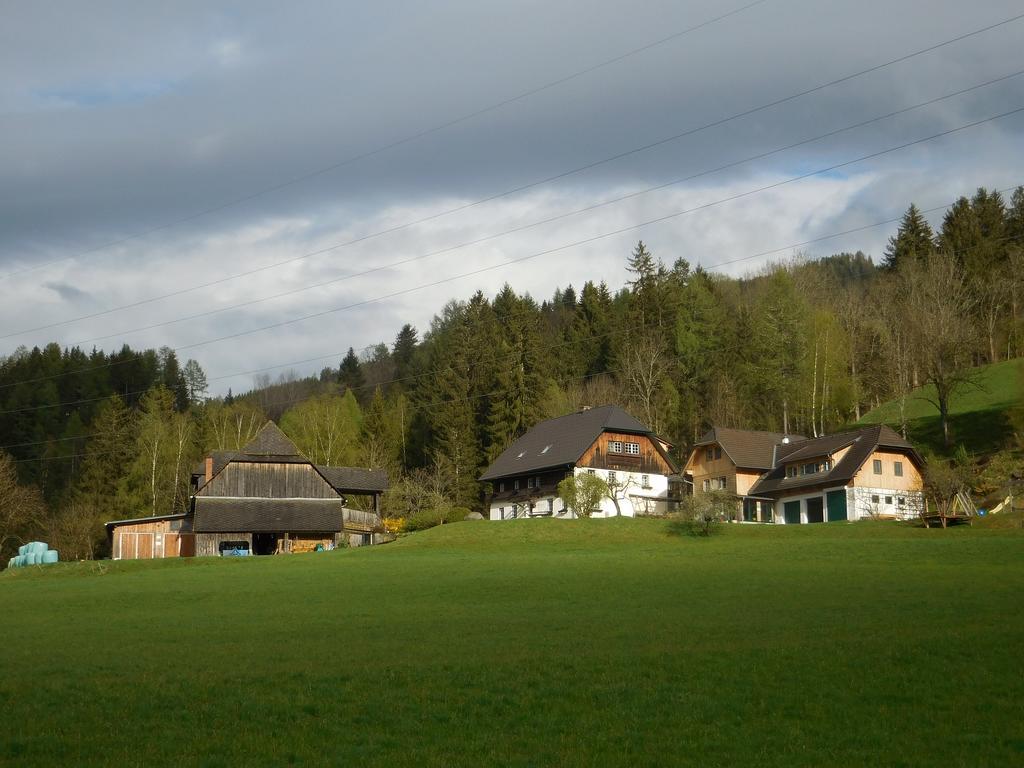 Steinerhof Villa Sankt Georgen ob Murau Exterior photo